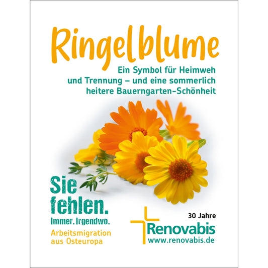 Renovabis Saatgut 2023 Ringel blume/Ersatz f. Bienenweide