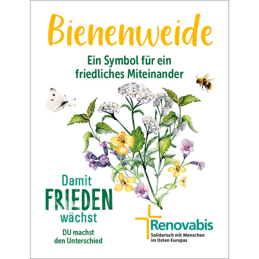 Renovabis Saatgut 2024 Bienenweide